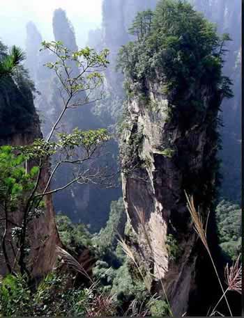 長沙出發(fā)到張家界溶洞奇觀黃龍洞、國家森林公園、袁家界、峰林之王天子山三日游（早班）