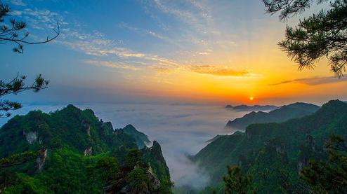 張家界森林公園（金鞭溪、袁家界、楊家界、天子山、十里畫廊）住山上2天1游（可看日出）